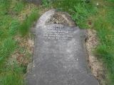 image of grave number 460365